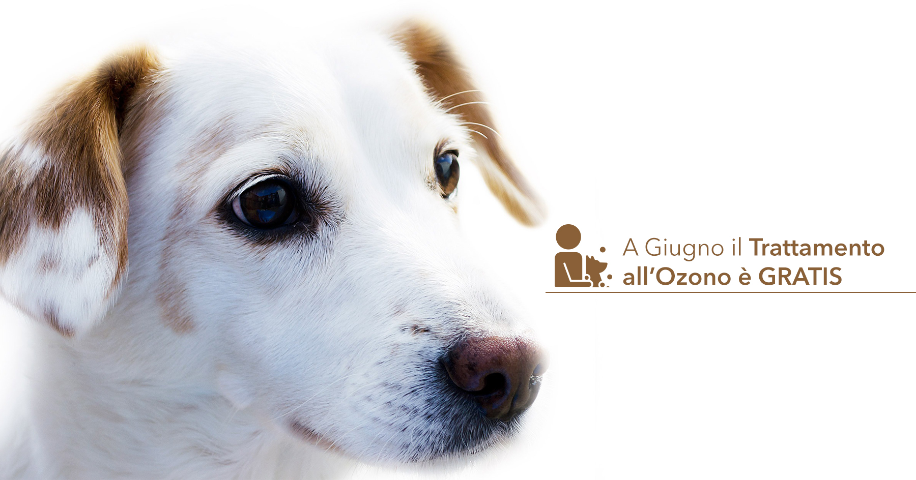 Trattamento all'ozono