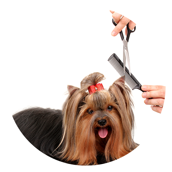 Oh My Dog Toelettatura - per la cura e il benessere del tuo Pet
